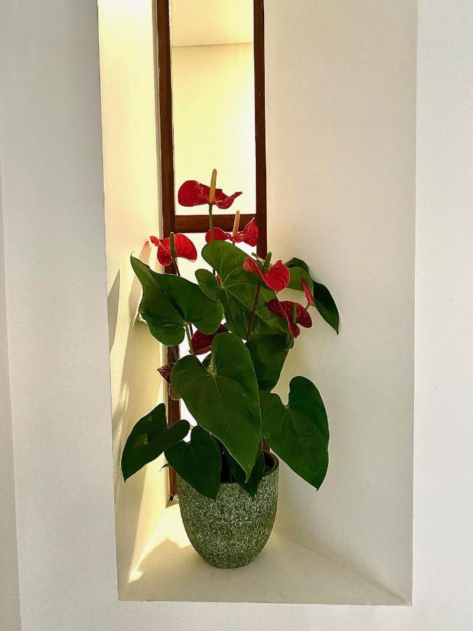 Douro B&B Avenida Resende Buitenkant foto